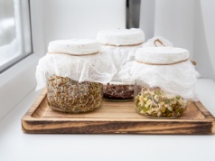 Jak uprawiać kiełki w słoiku? Przewodnik krok po kroku dla początkujących