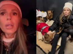 Doda spotkała się z kierowniczką schroniska w Bytomiu. Padły MOCNE SŁOWA