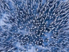 Narty biegowe. Zimą to lepszy wybór niż bieganie po asfalcie