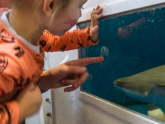 Ferie w Gdyni pełne atrakcji. Miasto stawia na naukę, zabawę i aktywność