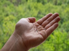 Wiejskie powietrze jednak nie jest aż tak czyste? Tam króluje mikroplastik. To wina roślin