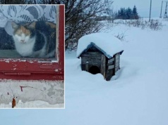 Zwierzęta zostały na mrozie, bez jedzenia i wody. 52-latek stanie przed sądem