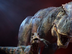 Podręczniki piszemy na nowo. Tyranozaur potrzebował aż 40 lat