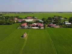 Rolnik kupuje ziemię. Czy żona ma do niej prawo przy rozdzielności majątkowej?