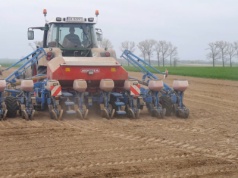 Jakie preparaty do zaprawiania kukurydzy w sezonie 2026? Lista będzie się kurczyć