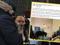 Nocna ewakuacja schroniska w Sobolewie. Na miejscu zapanował chaos