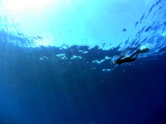 Gigant ukryty pod wodą. Naukowcy odkryli najwyższą podmorską górę świata