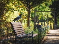 Zieleń w Warszawie. Co wydarzyło się w 2025 roku?