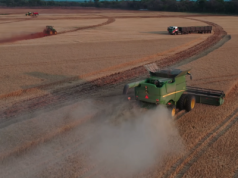 9 ton z hektara w Afryce. Tak polscy rolnicy koszą pszenicę w Zambii