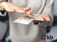 Jeden błąd i kazali jej oddać pieniądze. Tak traci się dotację z „Czystego Powietrza”