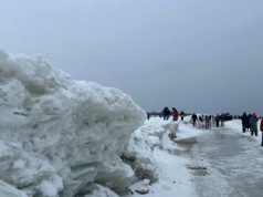Mikoszewo jak lodowa kraina. Niezwykłe zjawisko zachwyca spacerowiczów