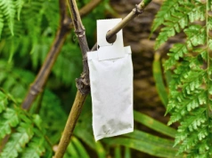 Już teraz załóż to na gałęzie. Przędziorki nie przetrwają do wiosny