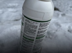 Mrozy niebezpieczne dla ŚOR. Czy przemrożony preparat pozostaje skuteczny?