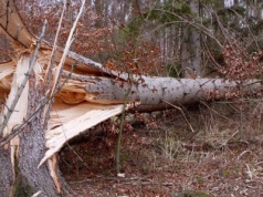 Orkan Kristin paraliżuje kraj. Nie żyje 10 osób