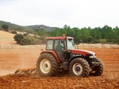 W Niemczech rozważa się wyłączenie pracowników sezonowych w rolnictwie spod płacy minimalnej
