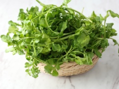 Rukiew wodna – najzdrowsze warzywo na świecie!