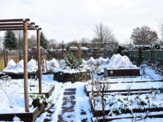 Rusza stopniowa likwidacja ogrodów działkowych. Tylko rząd może to uratować