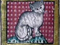 Koty palono, torturowano i wyśmiewano. Średniowieczna prawda szokuje