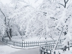 Mróz robi coś ważnego. Narzekamy, ale potrzeba niskich temperatur