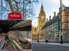 Internet zjedzony! Ekologiczna katastrofa w Londynie. Szczury zjadły światłowody