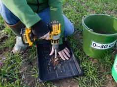 Wyniki analizy gleby: jak policzyć azot mineralny?