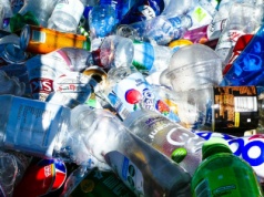 Nowe doniesienia na temat mikroplastiku. To nie wygląda dobrze