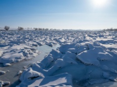Zaskakujące skutki mroźnej zimy. "Pierwszy rok od lat nie powinniśmy wszczynać alarmu"