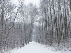 Walczą z nielegalnymi rajdami na quadach. Urząd wspiera mieszkańców "słowem"