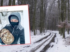 Pokazał, ile grzybów zebrał w lesie zimą. "Na Syberii też byś znalazł"