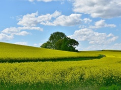 Rolnicy stracą pola? KRIR ostro o nowym prawie