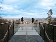 Tego miejsca turyści prawie nie znają. Spacer w koronach drzew zupełnie za darmo