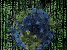 Pandemiczny absurd znów w natarciu? W Krakowie „ograniczenia” z powodu… jednego przypadku ptasiej grypy