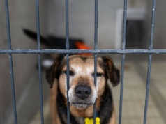 "To naprawdę haniebne". Biją na alarm, zmiany potrzebne od zaraz