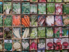 Co oznaczają symbole na opakowaniach nasion? Tych unikaj jak ognia. Nic z nich nie wyrośnie