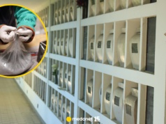 Pracownik krematorium zdradza kulisy. "Ostatnie spalają się nowotwory"