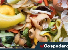Kłopotliwa rewolucja w bioodpadach