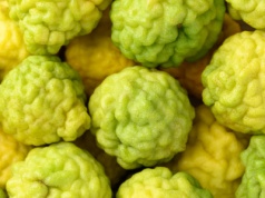 Rewolucja w walce z cholesterolem. Obniża LDL nawet o 40 proc.