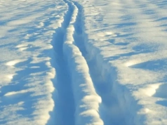 Zgubił się na polnej drodze i bał się, że zamarznie