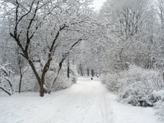 Mrozy jeszcze nie ustępują. Nadchodzi nowa fala zimna