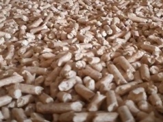 Pellet w ostatnich tygodniach notuje astronomiczne ceny, dodatkowo brakuje go na rynku