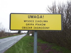 Nowe tablice na rogatkach Krakowa. Tym razem nie o SCT, tylko o ptakach