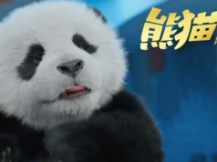 Jackie Chan powraca w familijnej przygodzie. Zwiastun filmu Panda Plan 2