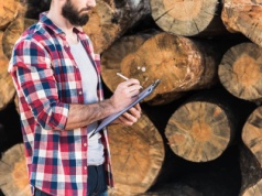 Drewno opałowe może zniknąć jesienią. Specjaliści wskazują jeden kluczowy termin