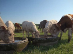 Przekroczenie poboru wody w gospodarstwie. Jakie kary?