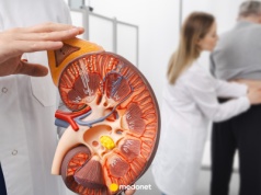 Przełom w transplantologii. Tę nerkę zaakceptuje każdy biorca. "To jak zmycie farby"