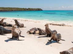 Ile naprawdę kosztuje podróż na Wyspy Galapagos?