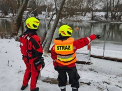 Pies wpadł do wody na bulwarach. Na miejscu strażacy z łodzią