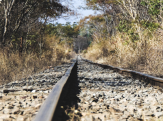Zamiast prawnika – ChatGPT. Kolejarze oskarżeni o korupcję zaufali AI