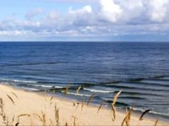 Sześć nowych dni wolnych od pracy? Do Sejmu trafiła petycja, która może wydłużyć święta Polaków