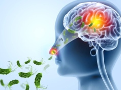 Ostrzegają przed amebami, które dostają się do mózgu. Mogą stać się globalnym zagrożeniem